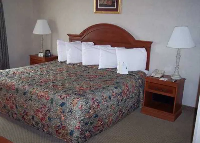 Hotel Homewood - Airport